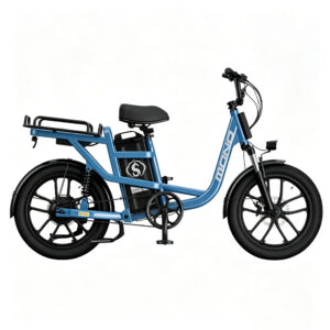 20D01 Lithium E-Bike