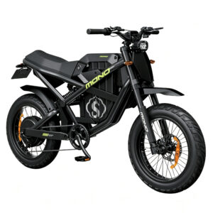20B01 Lithium E-Bike