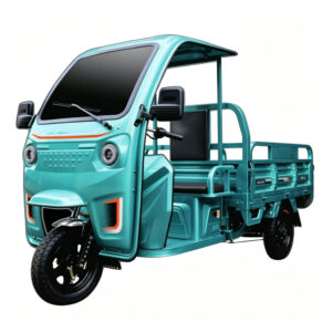 Cargo Tricycle (Enclosed)