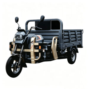 Cargo Tricycle (Heavy Duty)