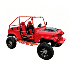 UTV (V-Twin, Large)